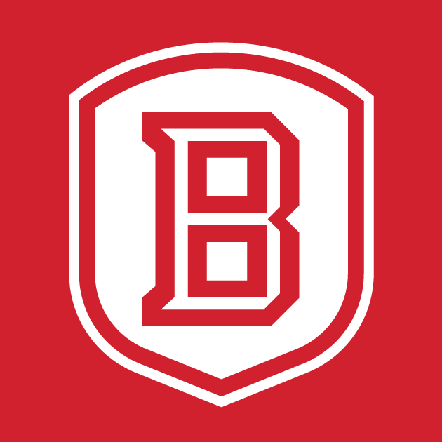 Bradley Braves 2012-Pres Secondary Logo v3 diy fabric transfer